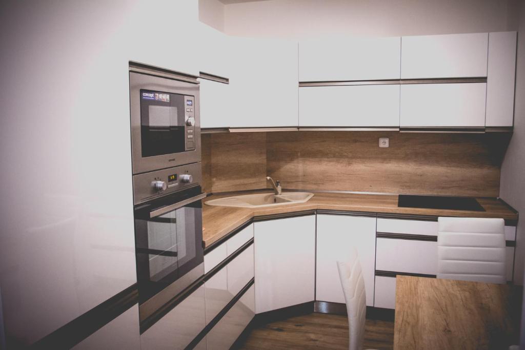 Kuchyň nebo kuchyňský kout v ubytování Apartmán Rezidence Mikulov