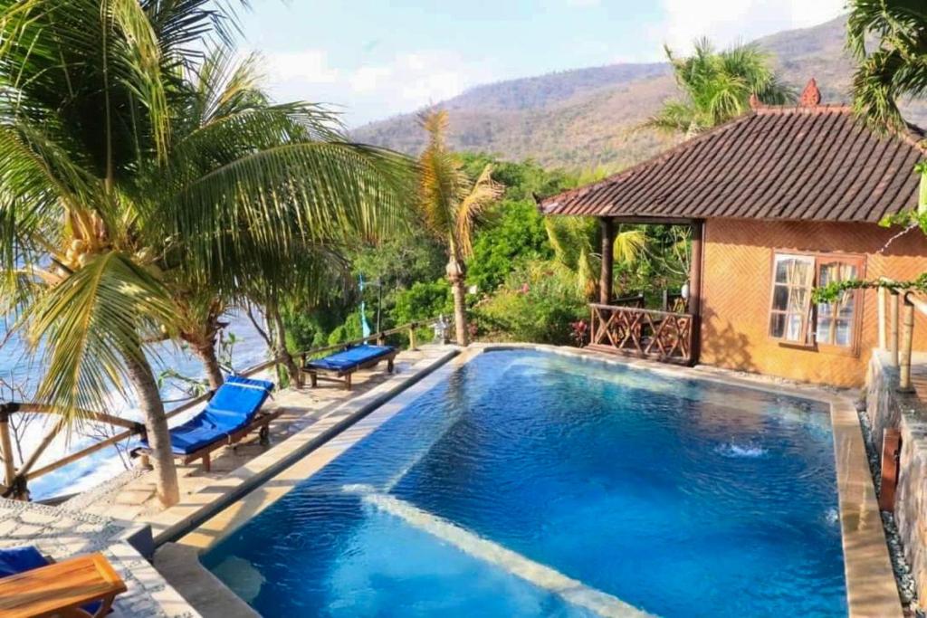 a swimming pool with palm trees and a house at Eka Purnama Cottages in Amed
