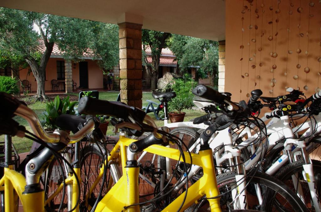 Sa Pedrera Country Hotel - 15