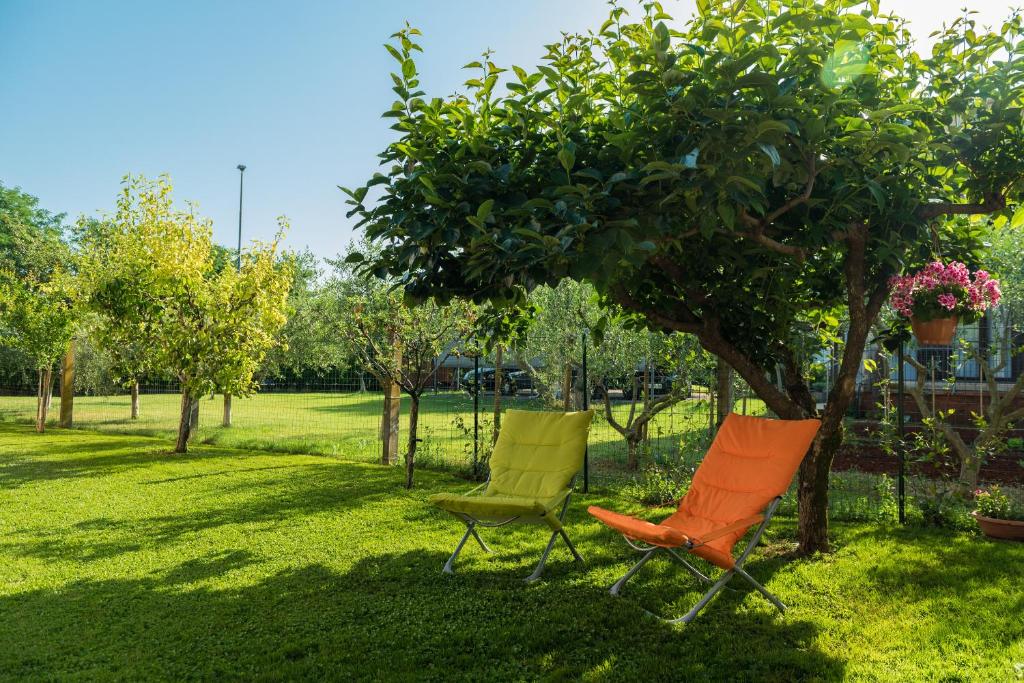 B&B Carmela, Umag (updated prices 2025) - 17