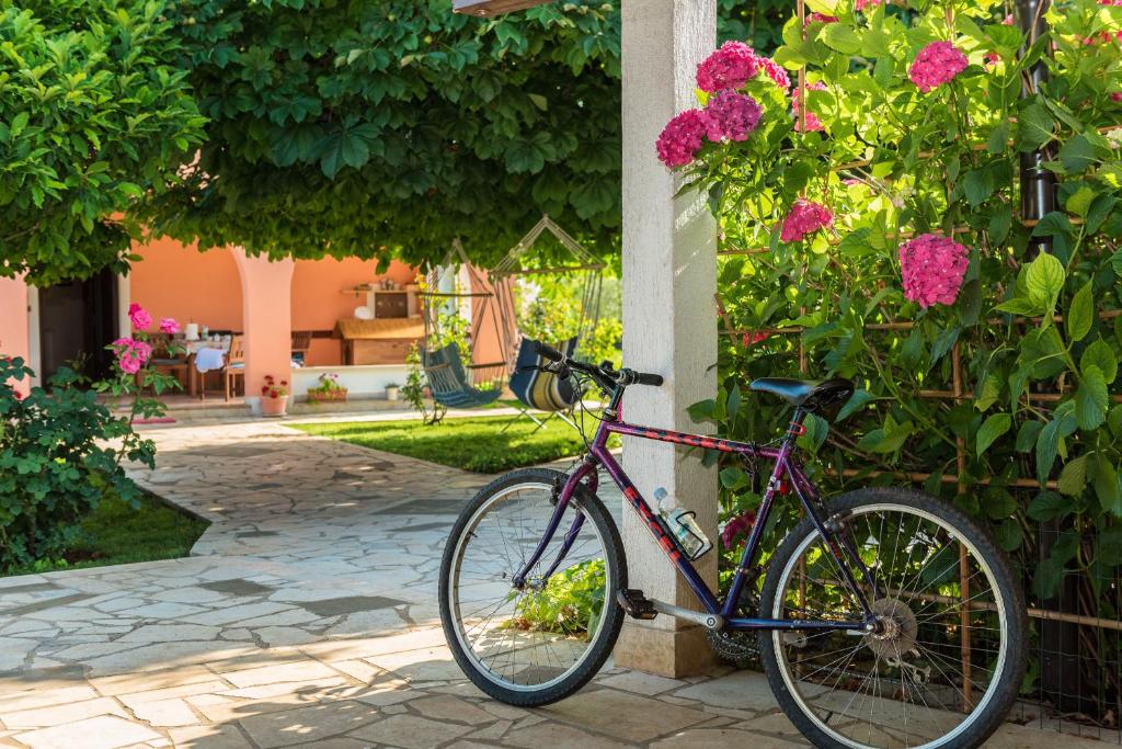 B&B Carmela, Umag (updated prices 2025) - 16