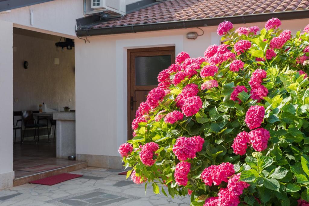 B&B Carmela, Umag (updated prices 2025) - 15