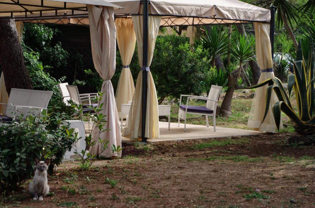 Sa Pedrera Country Hotel - 14