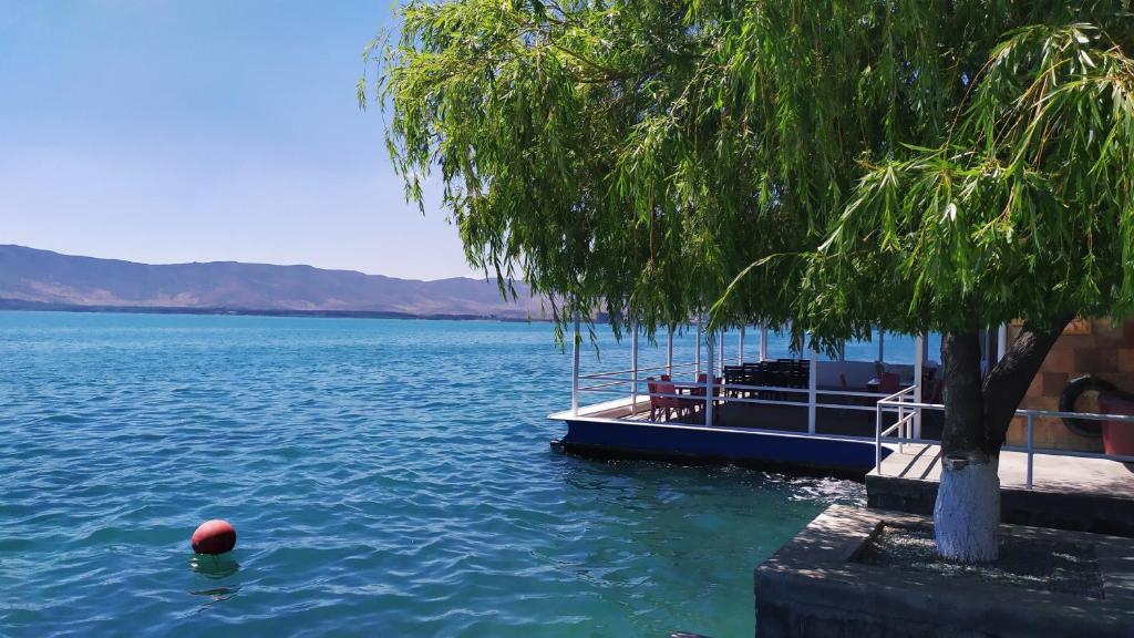 Una barca in acqua accanto a un albero di EDEM SEVAN a Sevan