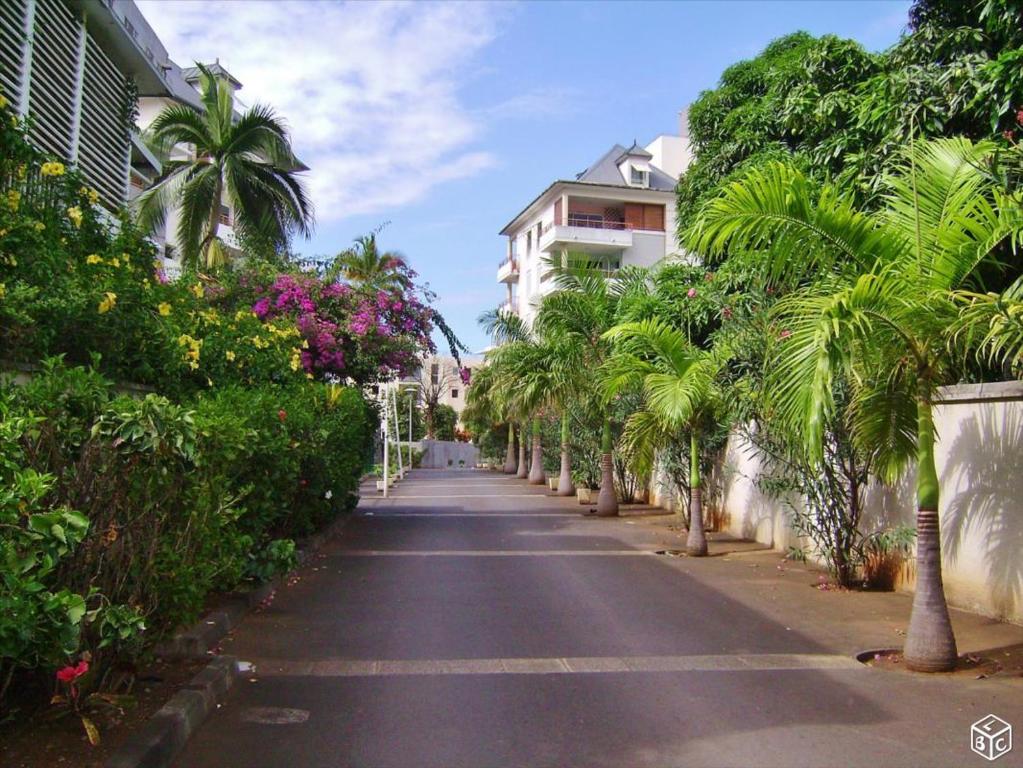 una calle bordeada de palmeras y edificios en L'escale des Palmiers, en Saint-Denis