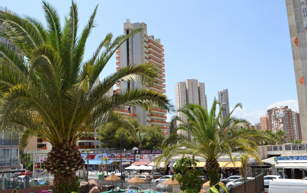 two palm trees in a city with tall buildings at Margarita Apartment Benidorm in Benidorm