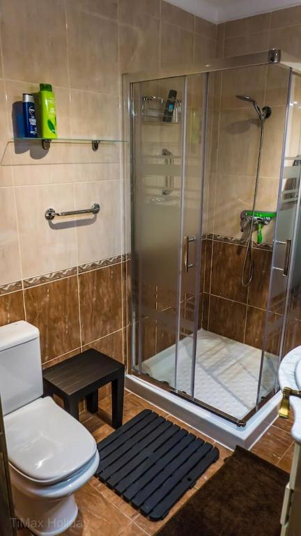 łazienka z prysznicem i toaletą w obiekcie Timax Home Costa del Sol w mieście Caleta De Velez