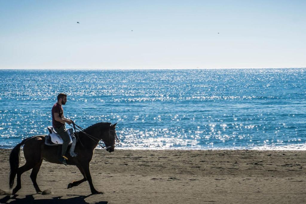 Goście zatrzymujący się w obiekcie Timax Home Costa del Sol