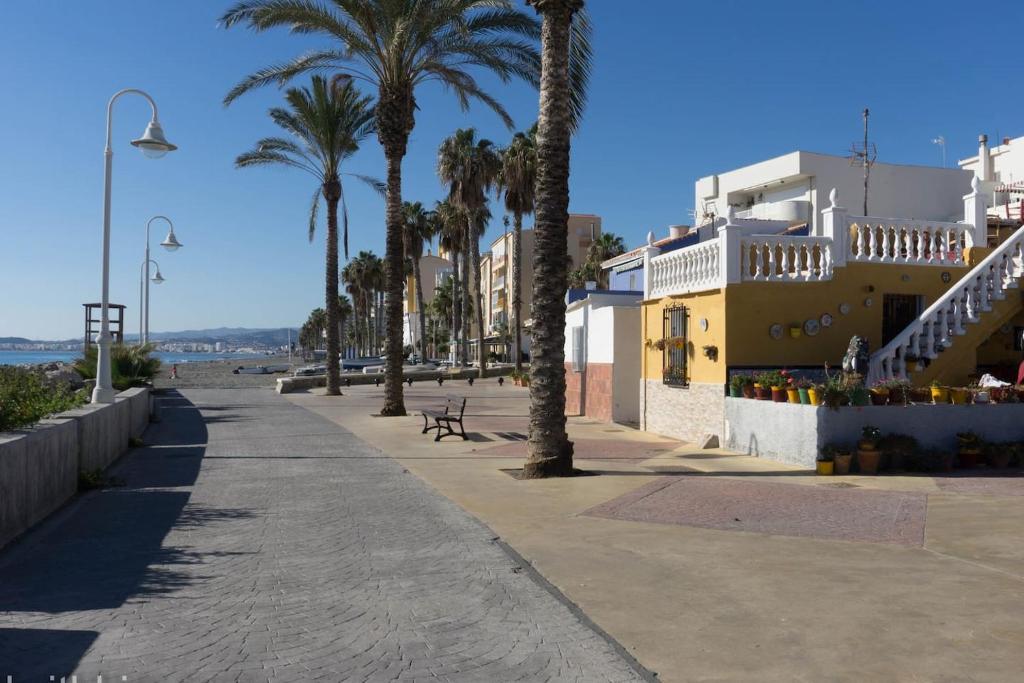 chodnik z palmami i budynkami na plaży w obiekcie Timax Home Costa del Sol w mieście Caleta De Velez