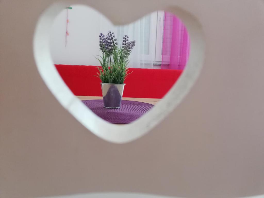 Zdjęcie z galerii obiektu Apartments Relax Punat w mieście Punat