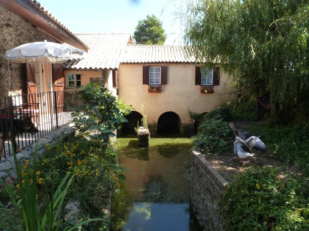 ein Haus mit einem Teich vor einem Haus in der Unterkunft Casa do Moinho in Ovar