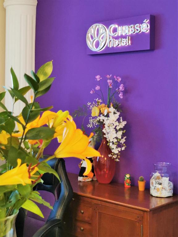 Chasse Hotel - Resim 30