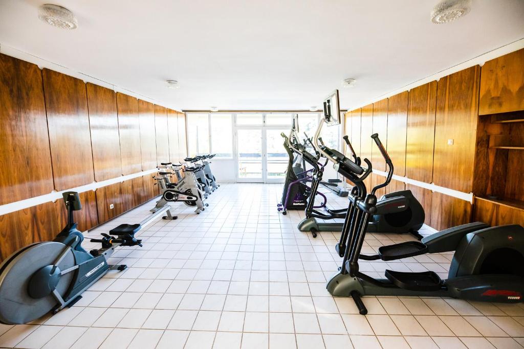 Fitness centrum a/nebo fitness zařízení v ubytování Hotel Holiday Csopak