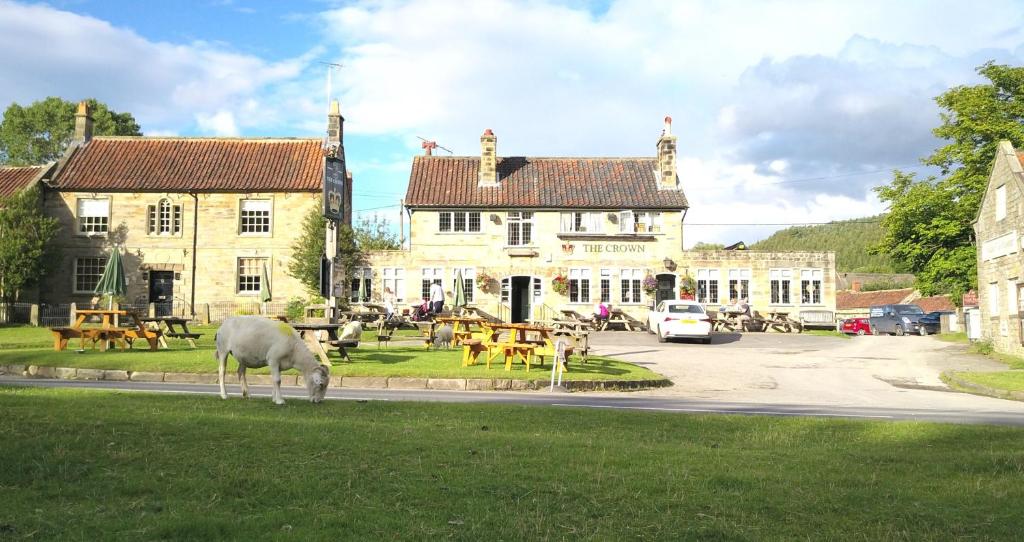 a sheep grazing in the grass in front of a building at The Crown, Hutton le Hole in Hutton le Hole