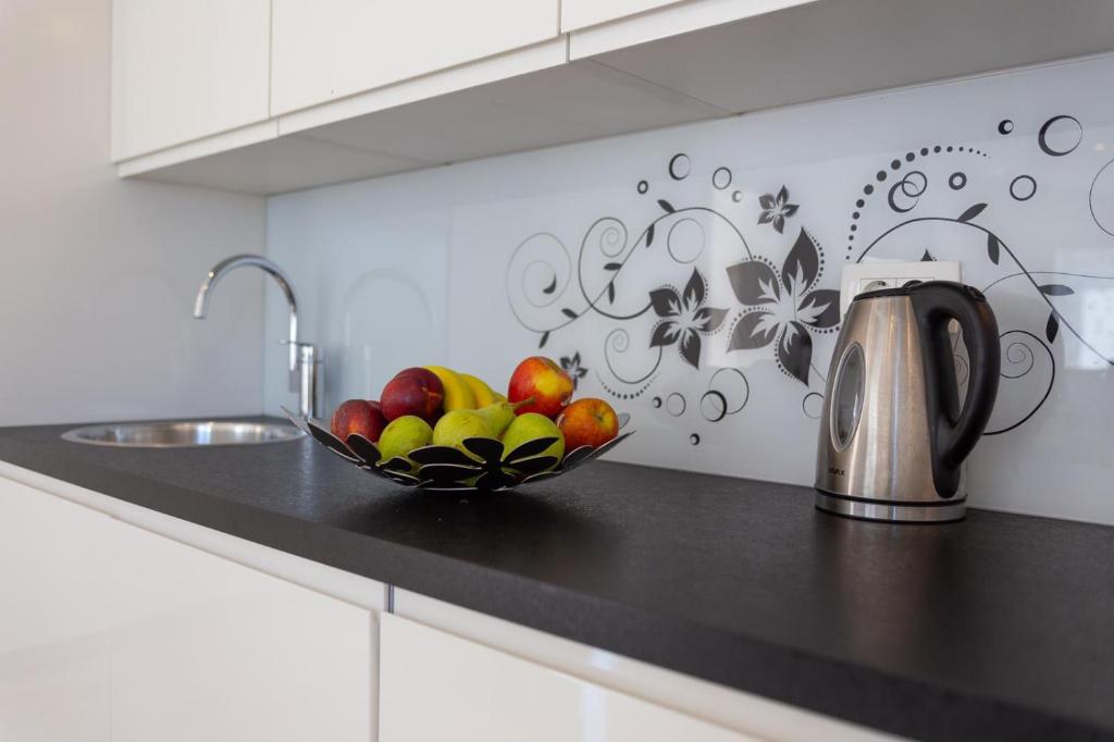 Kuchyň nebo kuchyňský kout v ubytování Apartment Antonio