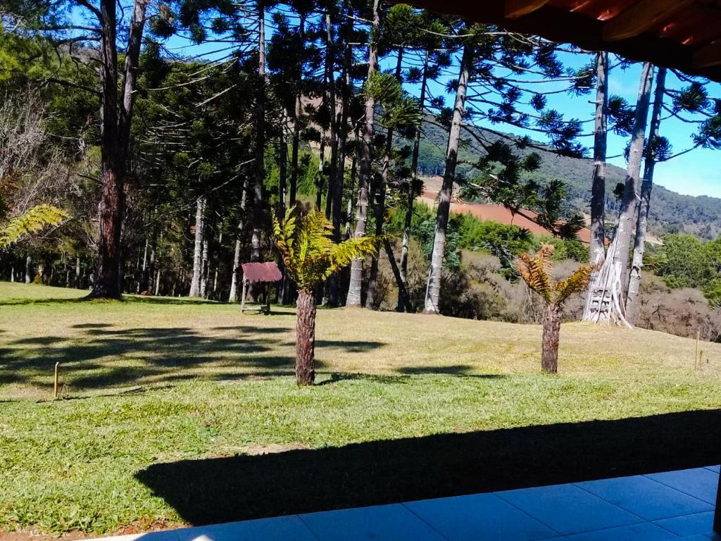  Sítio Pinho Bravo