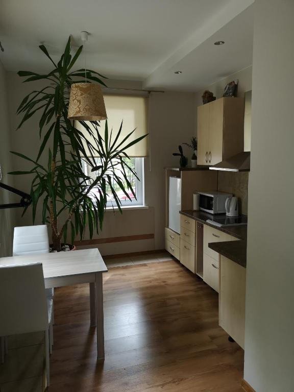 Jaukus butas Šiaulių miesto centre - Apartment - Ground Floor