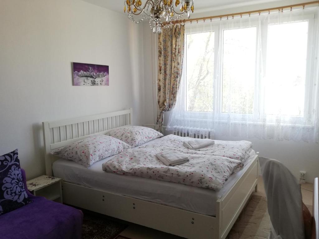 sypialnia z łóżkiem, oknem i żyrandolem w obiekcie Apartments Meixner w Mariańskich Łaźniach