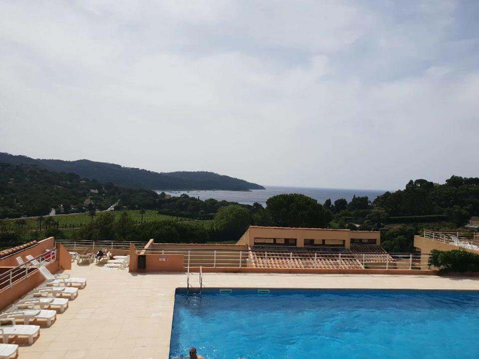 uma grande piscina com cadeiras e vista para o oceano em Les terrasses de Sylvabelle em La Croix-Valmer