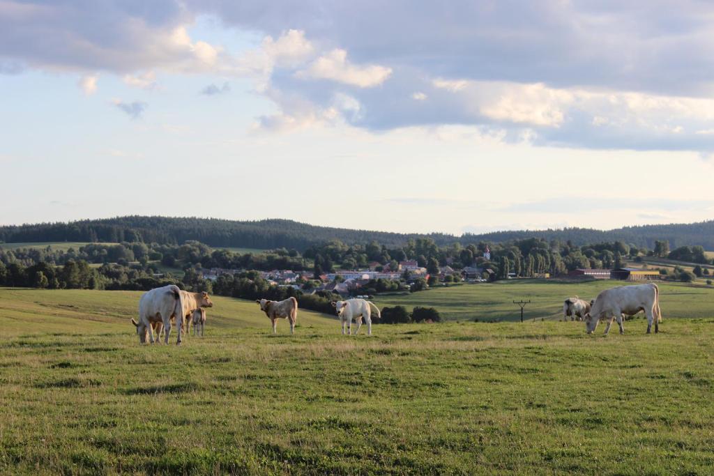 Životinje u seoskom domaćinstvu ili u blizini