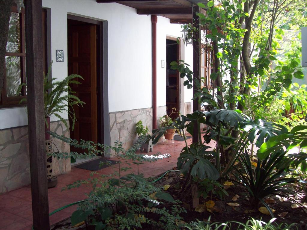a porch of a house with a bunch of plants at La Casa de Teresa in Colonia del Sacramento