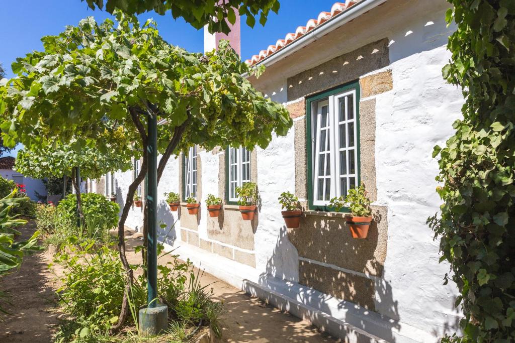 Quinta do Valdalágea - 14