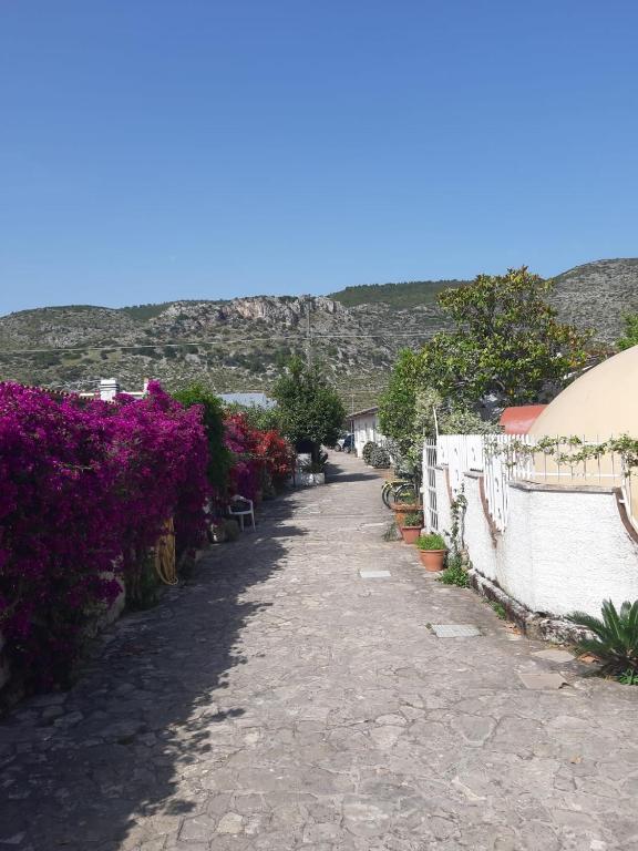 Táj Show holiday homes közelében