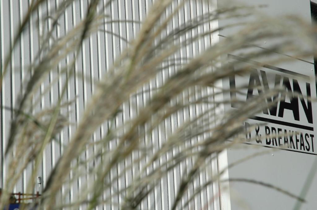 Sijil, anugerah, tanda atau dokumen lain yang dipamerkan di Lavan