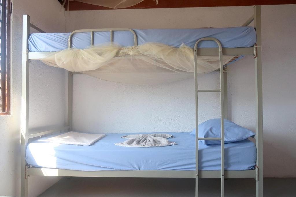 a bunk bed with a blue sheet and a pillow at Atauro Dive Resort Backpackers Hostel in Beloi