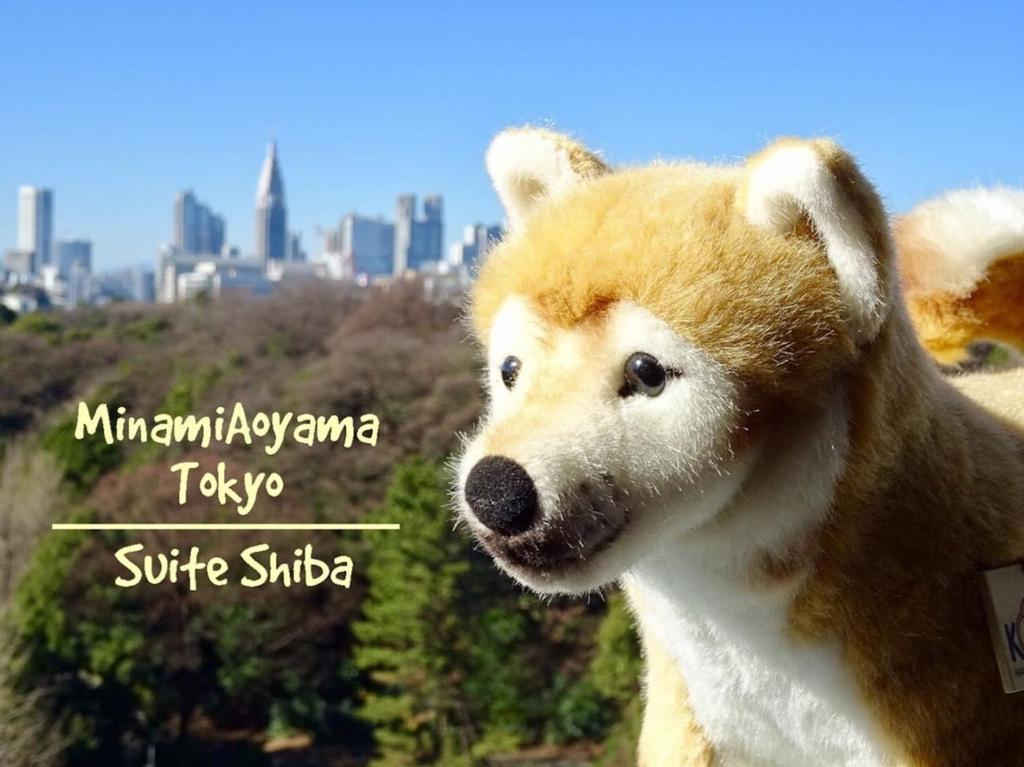 Fotografie z fotogalerie ubytování Minami-Aoyama-1st v Tokiu