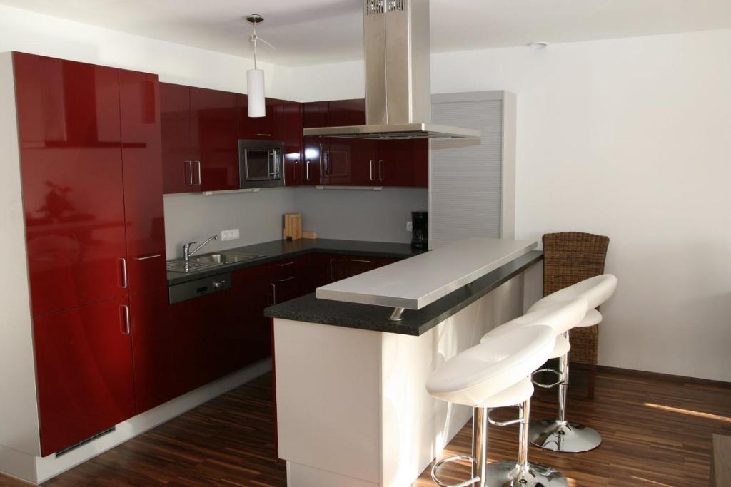 Kuchyň nebo kuchyňský kout v ubytování Appartement Crystal by Schladmingurlaub