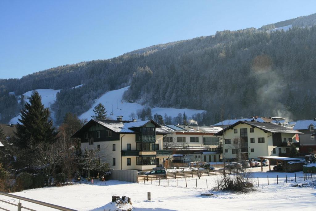 Příroda nedaleko apartmánu
