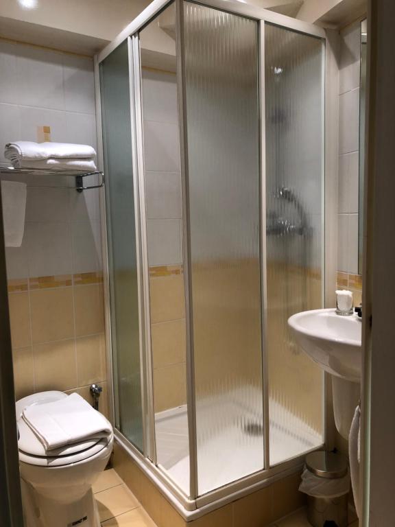 a bathroom with a shower and a toilet and a sink at LE CABOUILLET in LʼIsle-Adam