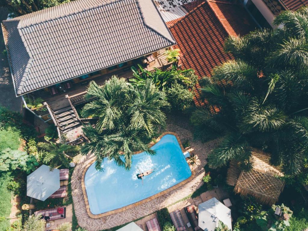 an overhead view of a swimming pool with palm trees at Liam's Guesthouse Adults Only in Chiang Mai