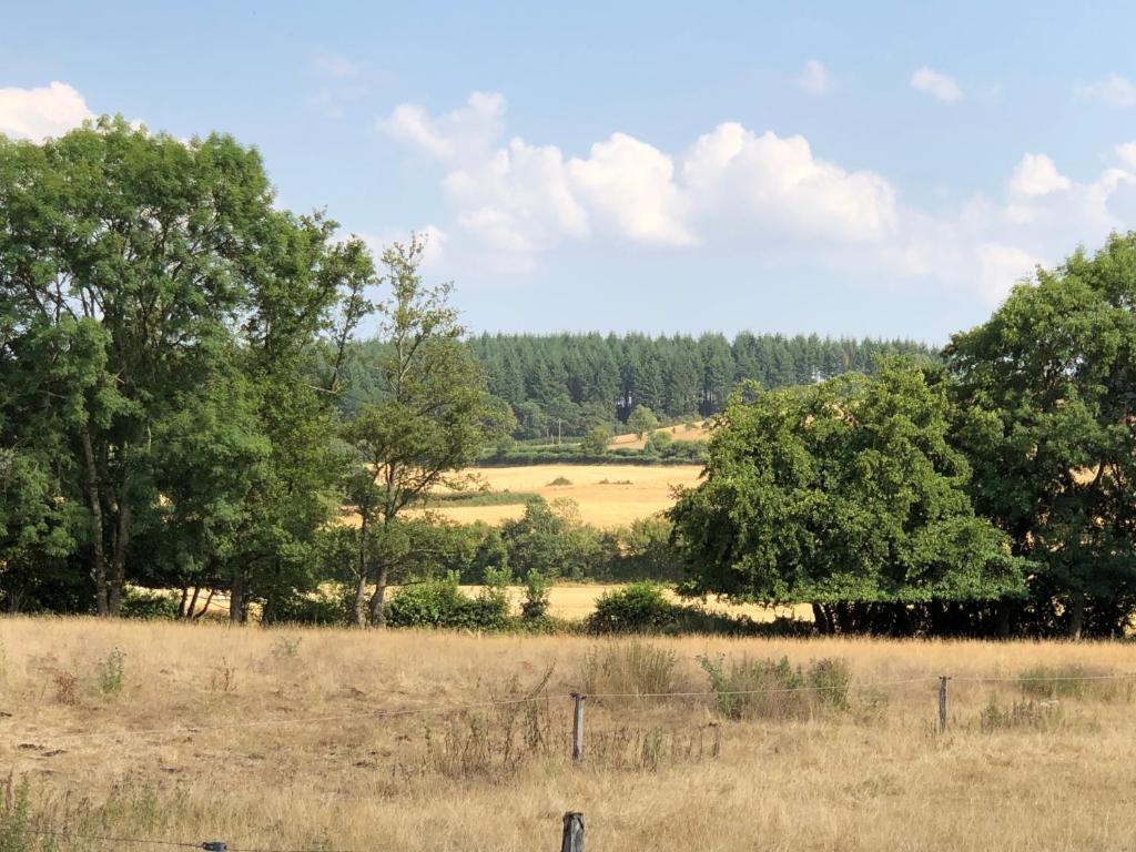 Příroda nedaleko luxury tent