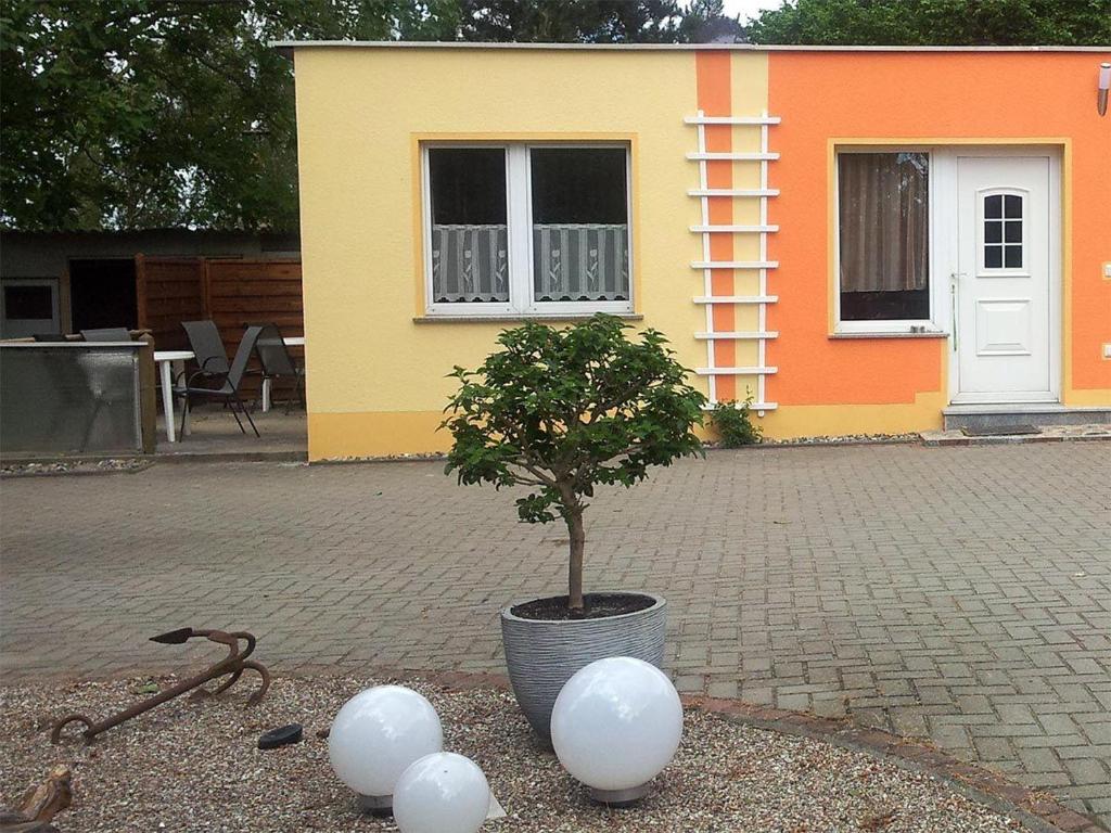 ein Baum und weiße Ballons vor einem Haus in der Unterkunft Preisgünstiger Bungalow für 3 Personen auf Rügen in Sagard