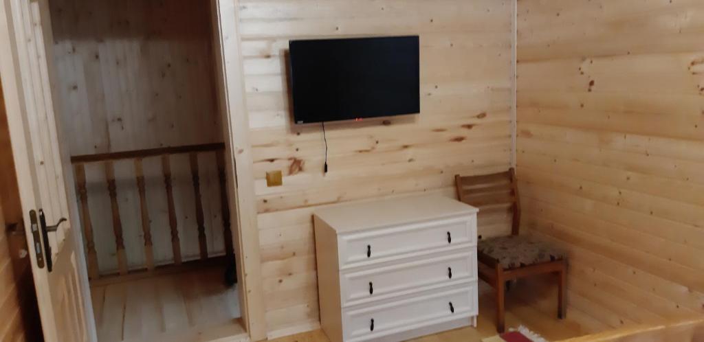 TV a/nebo společenská místnost v ubytování Котедж під горою