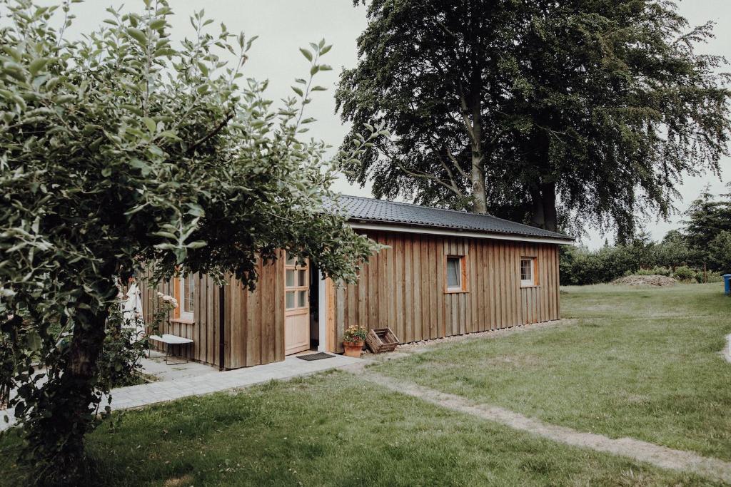 una cabaña de madera en un patio con un árbol en Lytte Hytte - Ferienhaus Wingst, en Wingst