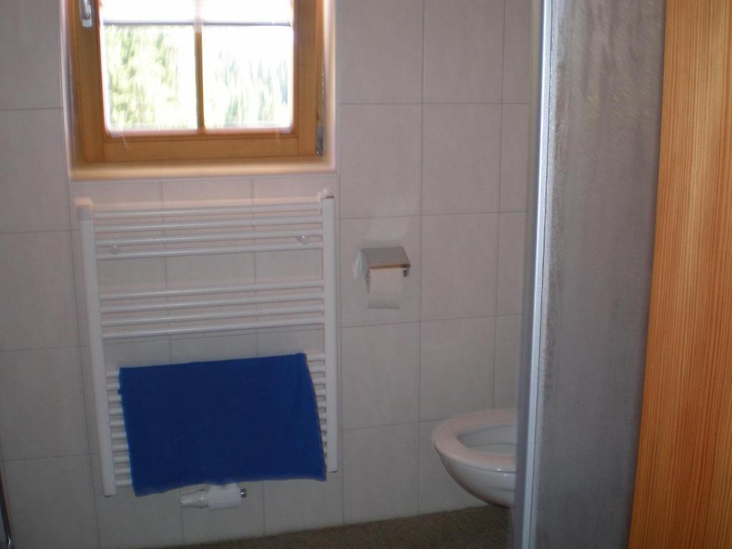 Kúpeľňa v ubytovaní Almrauschhütte Markus