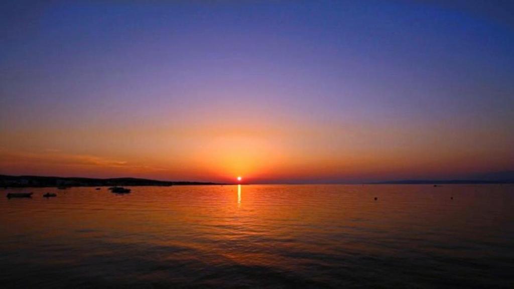 Gallery image of Apartments Zara in Vir