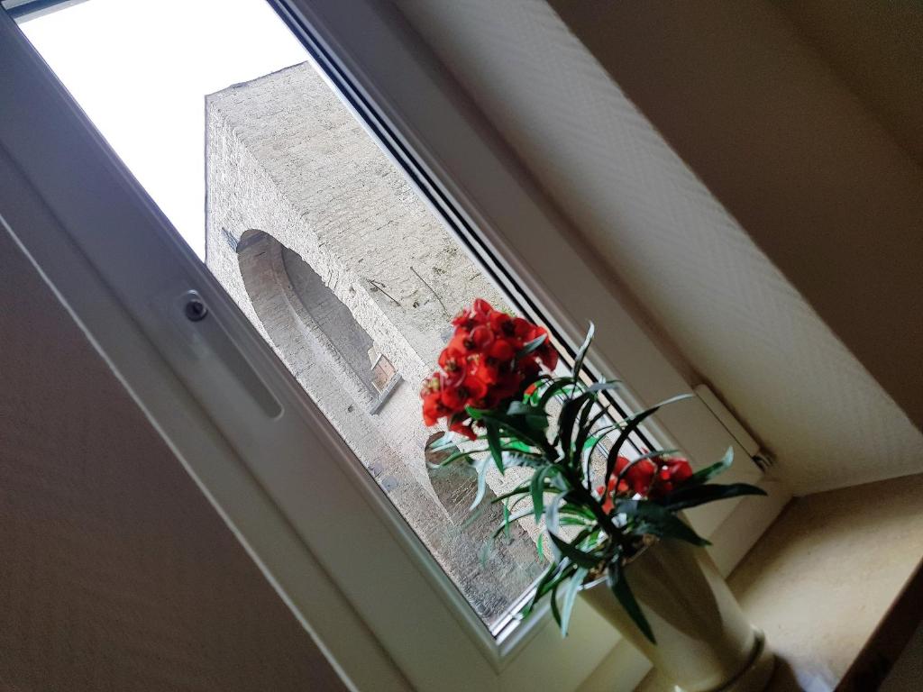 een vaas met rode bloemen op een raam bij Ferienhaus am Rheintor in Andernach