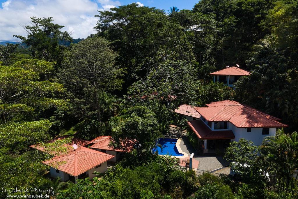 an aerial view of a house with a swimming pool and trees at Casa del Toucan in Dominical