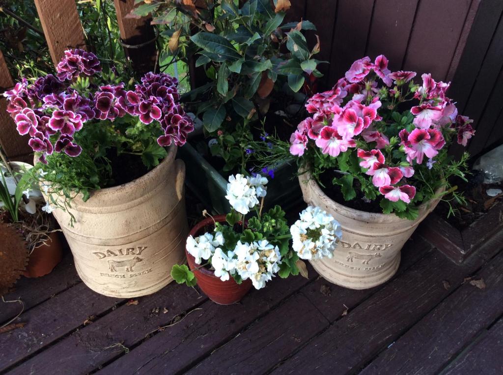 Brook House B&B & Cottages - Resim 32