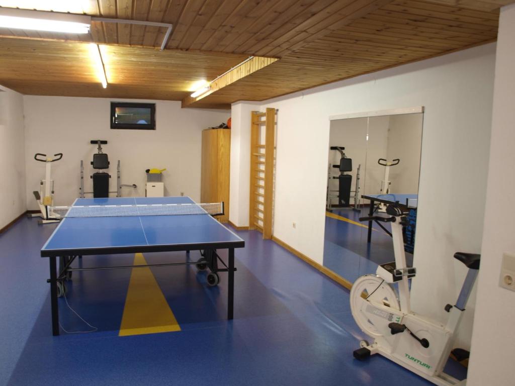 Stolní tenis v ubytování Sportgasthof Lipp nebo okolí