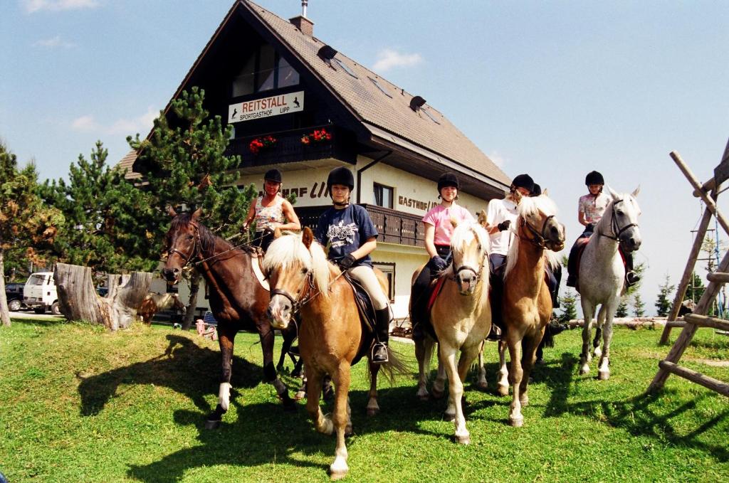 Hosté ubytování Sportgasthof Lipp