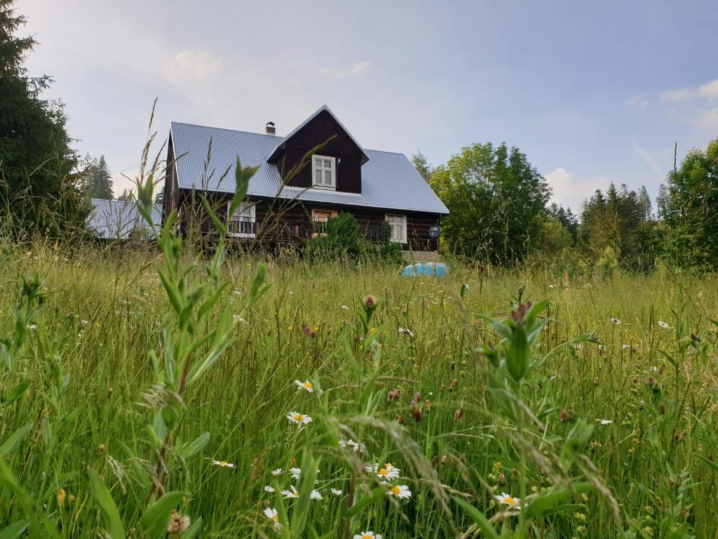 KamesznicaにあるChata góralska Wojtasówkaの草原中の家