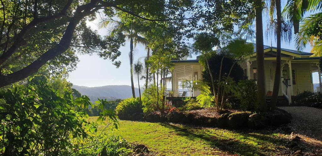 una casa amarilla con palmeras delante en Valleydale cottage en Goonengerry