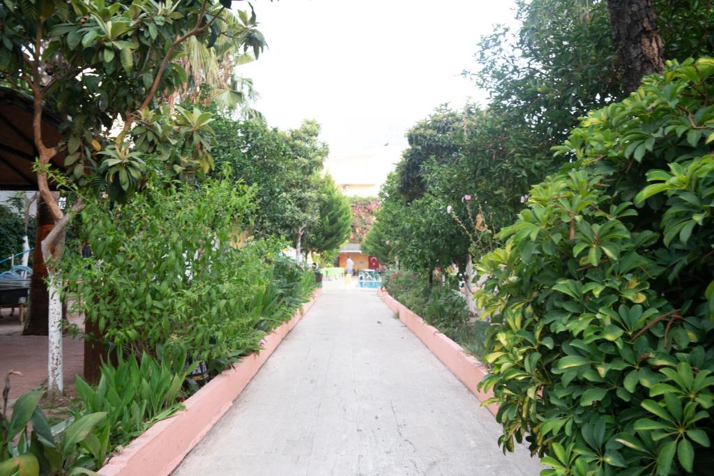 Zahrada ubytování Marin Hotel