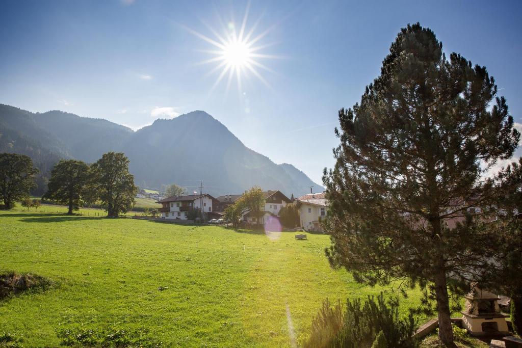 ein grünes Feld mit einem Baum und Bergen im Hintergrund in der Unterkunft Landhaus Greil in Reith im Alpbachtal