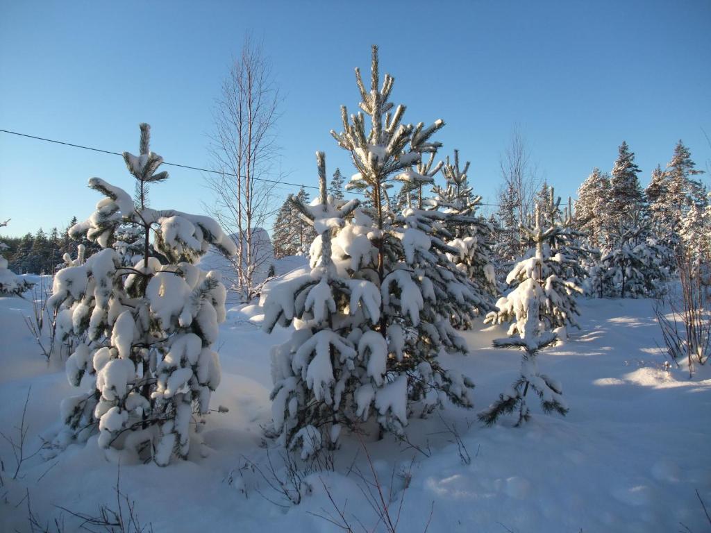 dating sites i ljusterö- kulla